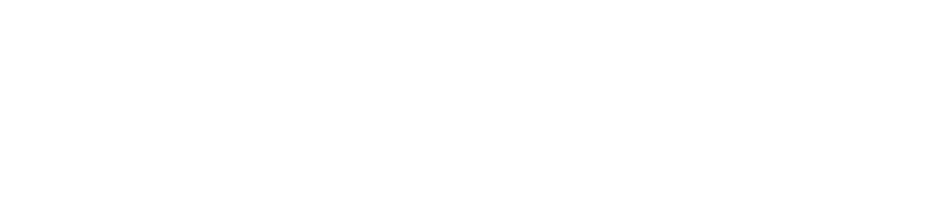 netrush+logotype+2