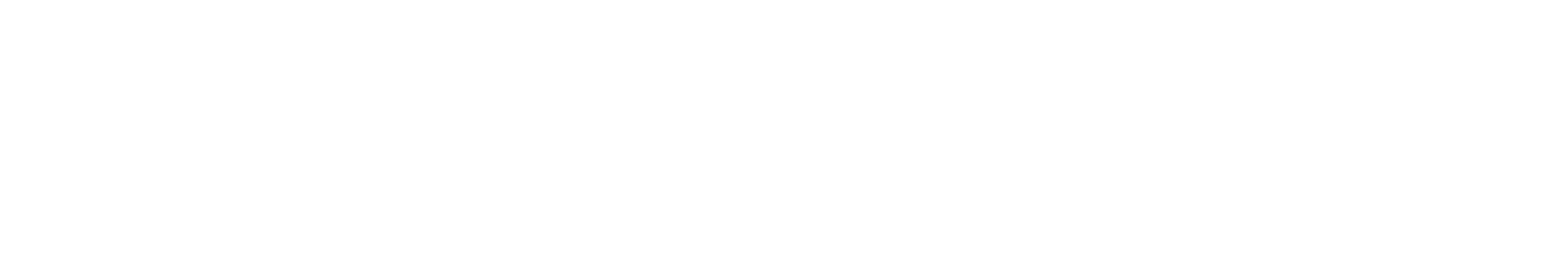 NOMAD_Logo_White